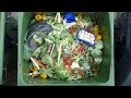 The scale of the food waste problem and a solution | euronews Living