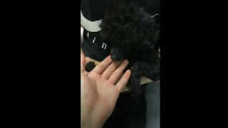 180928 Sehun Live IG With Kyungsoo [Trans in Description]