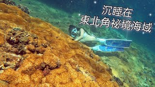 東北角神秘海域/能見度爆棚/魚群超多珊瑚好美/小Su自潛日記/鼻頭角自由潛水/