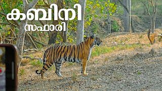 കടുവകൾ വാഴുന്ന കബിനി | Kabini Forest Safari