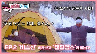 [🌺 비슬이가 간다!] 🌄'비슬산'이라 쓰고 '캠핑 명소'라 읽는다! ⛺