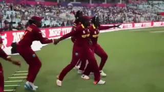 Dj bravo champion song with 2016 best westindies moments