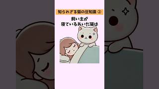 【猫の豆知識50選】②知られざる猫の秘密と本能的な行動をノンストップで大公開！ #猫 #雑学 #豆知識