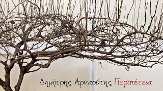 Δημήτρης Αρναούτης - Ο Βομβαρδισμός Της Δρέσδης (Οργανικό) (Official Audio Video)