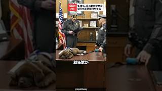 就任式で居眠りする警察犬