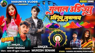 गुलाल उड़िज्यु वो Udajyu Juwanay| Singer Rohit Badole Mukesh Senani Ke Bhagoriya Sog| Vasuniya Vlogs