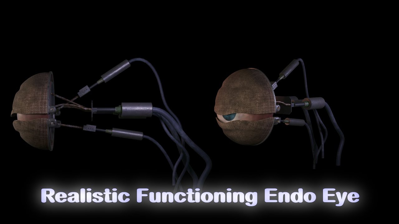 Realistic Functioning Endo Eye Youtube