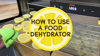 DIY How to Use a Food Dehydrator Making Dried Lemons, Limes, Apples and Bananas | VEVOR Brand