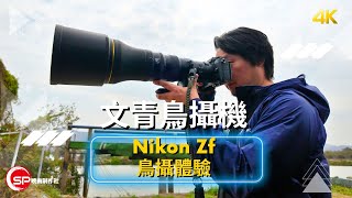 文青鳥攝機 ｜ Nikon Zf 鳥攝體驗  ｜ feat. Nikon Z 800mm f/6.3 S VR