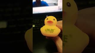 LinLee my duck #short