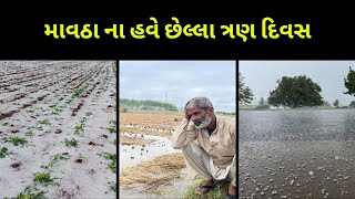 માવઠા ના હવે છેલ્લા ત્રણ દિવસ | માવઠા થી રાહત | અન્નદાતા