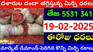 19-02-2025 గుంటూరు మిర్చి మార్కేట్ ధర || Today #mirchiRates In market ||  Mirchi Rate Increase ??