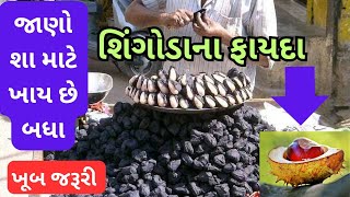 અદ્ભુત ફળ શિંગોડા સ્વાસ્થ્ય માટે ખૂબ જ જરૂરી | શિંગોડા ના ફાયદા | Water chestnut benefits