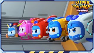 ✈ SUPERWINGS5 Super Pets! Full Episodes Live ✈