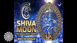 Daksinamurti @ Shiva Moon 2019