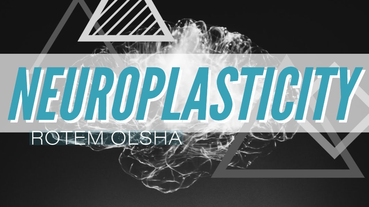 Neuroplasticity Explained Youtube