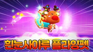 드랲 구역 확대 플라잉펫!! 🦌🎅흰눈사이루🛷🎁리뷰!! [카러플]