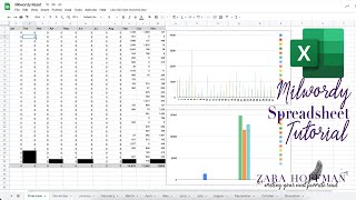 Milwordy Excel Spreadsheet Tutorial