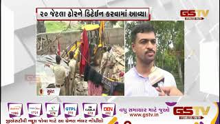 Surat : રખડતા ઢોર અંગે સુરત મનપા તંત્ર એક્શનમાં | Gstv Gujarati News