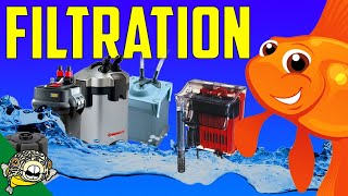 Filtration, the most heated Aquarium Topic! The live Stream edition.