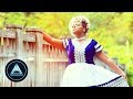 Dina Anteneh - Honelign (Official Video) | Ethiopian Music