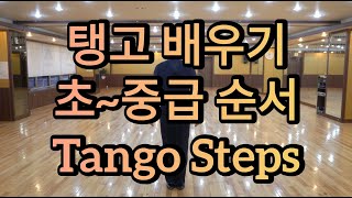 [와이트리]탱고 초~중급 남성스텝 배우기 2021 - Tango Basic Steps \u0026 Routine