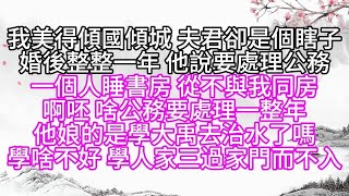 我美得傾國傾城，夫君卻是個瞎子，婚後整整一年，他說要處理公務，一個人睡書房，從不與我同房，啊呸，啥公務要處理一整年，他娘的是學大禹去治水了嗎，學啥不好，學人家三過家門而不入