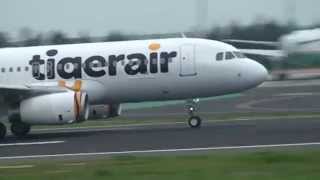 臺灣虎航 Tigerair Taiwan A320-232(B-50005) IT-230 桃園(TPE)→沖繩(OKA) takeoff