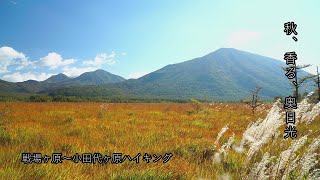 秋、香る、奥日光散策【戦場ヶ原～小田代ヶ原】 Hike on the Senjogahara and Odashirogahara