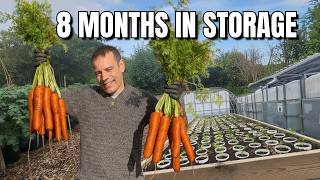 Harvesting Carrots? Here Is How to Make Them Last 8 Plus Months!