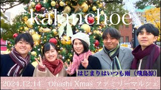 【kalanchoe】はじまりはいつも雨　（2024.12.14 Ohashi Xmas マルシェ）