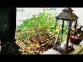 Arte´24* - Villa Eulenburg* - DFG* - Nordisch Herbst & Heimat 2024-10-30 - 01 IN MEMORIAM