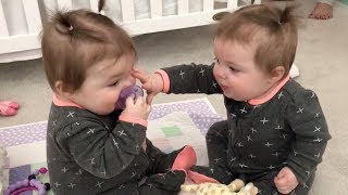 Funniest TWIN Baby Girls Share A Pacifier
