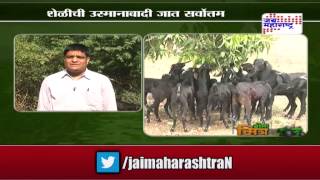 Sheti Mitra: Teacher turns farmer in Wada