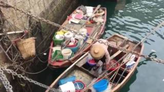 姜少食魚-鴨脷洲海傍咁樣賣魚