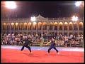 tradtional chinese martial arts long stick pair excercise. 蔡李佛單頭棍對拆 傳统棍術對練