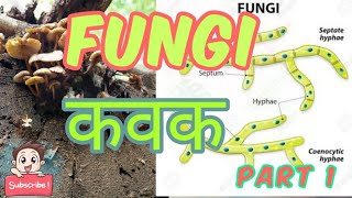 Fungi कवक part 1