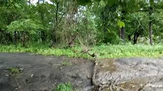 A small waterfalls on the way to kava malampuzha