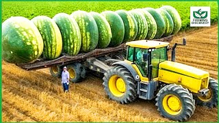 Modern Harvesting Agriculture Machines That Are At Another Level - Harvesting Machines ▶ 9
