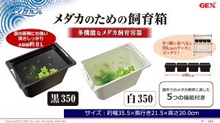 【2021年新商品】メダカ関連新商品を開発担当者が解説！