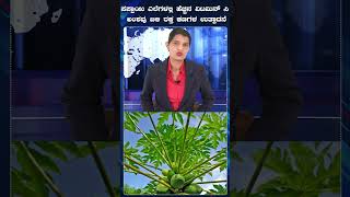 ಪಪ್ಪಾಯಿ ಎಲೆಗಳಲ್ಲಿ ಹೆಚ್ಚಿನ ವಿಟಮಿನ್ ಸಿ |The high vitamin C content in papaya leaves