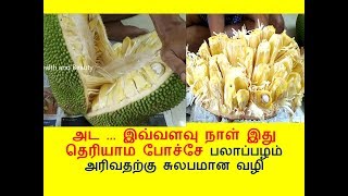 பலாப்பழம் அரிவதற்கு சுலபமான வழி | HOW TO CUT JACKFRUIT EASILY | palapazham1