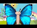 EUFRIDA, A BORBOLETA AZUL | MÚSICA INFANTIL