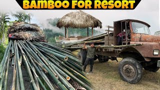 Bought Hundred of Bamboo for my Resort | Resort ke liye Bamboo construction started kiya