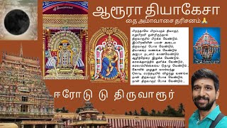 திருவாரூர் தியாகராஜ சுவாமி தரிசனம் நவகிரகங்கள் ஒரே நேர்கோட்டில் சிறப்பு  #travel