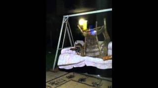 Raccoon and a swing