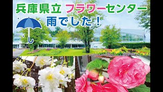 兵庫県立フラワーセンターの大温室