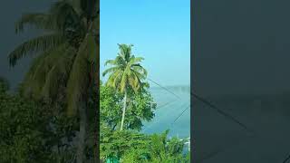 Chinese fishing nets in kodungallor river  or Muziris in past