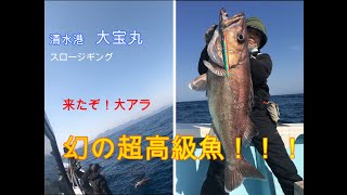 神回：幻の魚でた～！　スロージギング　大アラファイト！！！