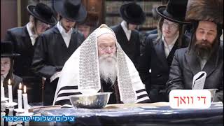 Kretchnif Rebbe Reading megillah - Purim 5784